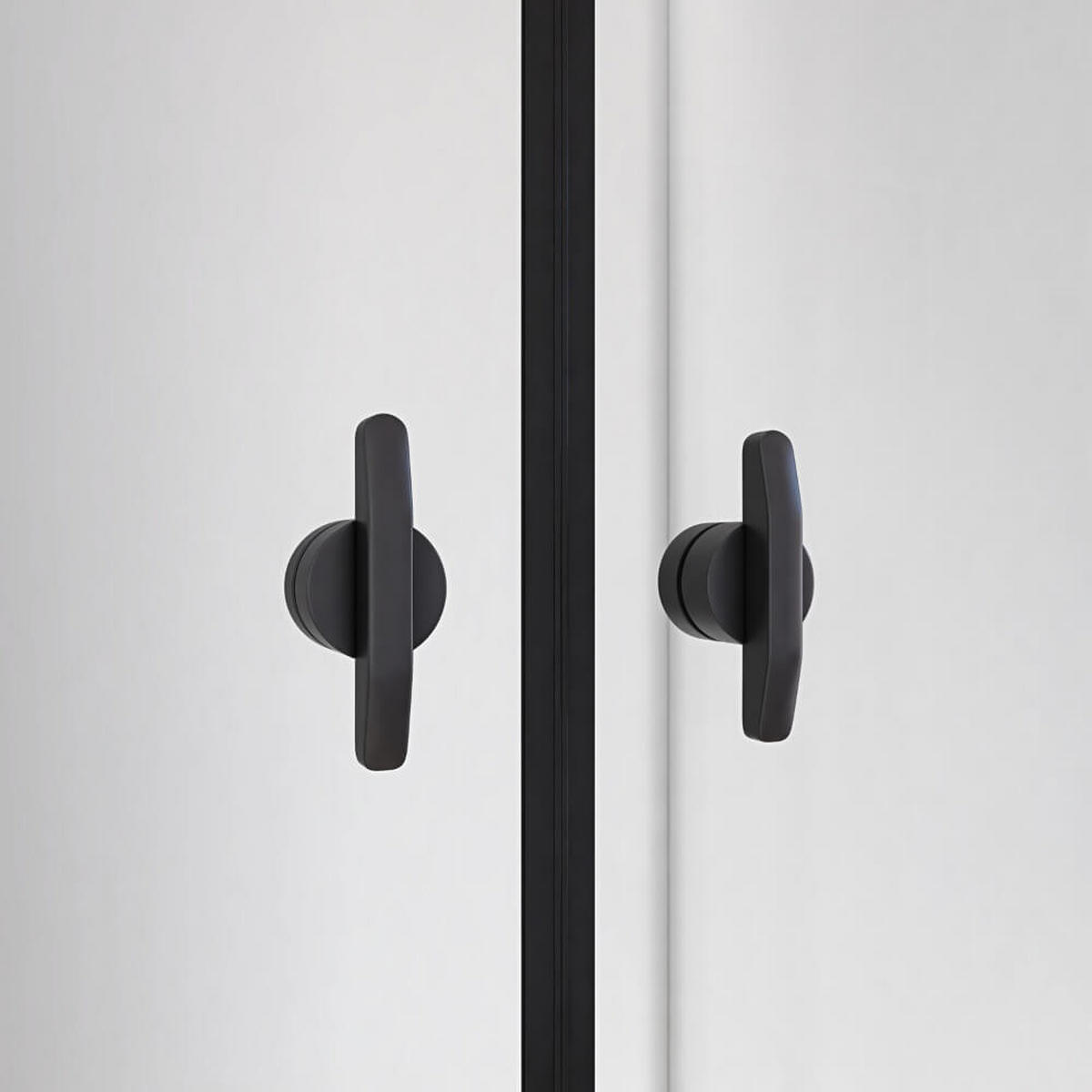 PENDELTÜR Klarglas LAVEA - 85 x 195 cm Schwarz - Schwarz, Glas/Metall (85/195cm) - Home Deluxe