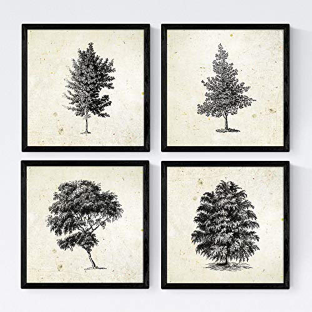 POSTER Set mit 4 Blättern der Bäume struktur 20x20cm Schwarzer Rahmen - Schwarz, Papier (20/3cm) - Nacnic
