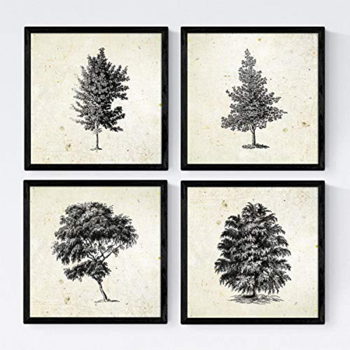 POSTER Set mit 4 Blättern der Bäume struktur 20x20cm Schwarzer Rahmen - Schwarz, Papier (20/3cm) - Nacnic