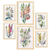 POSTER Set Mit 6 Wilde Blumen Vollfarbige Natur Und Botanikdrucke Mit Blumenmotiven Auf Reinweißen Hintergründen A3 & A4 Rahmen Aus Hellem Holz - Beige, Papier (29/3cm) - Nacnic