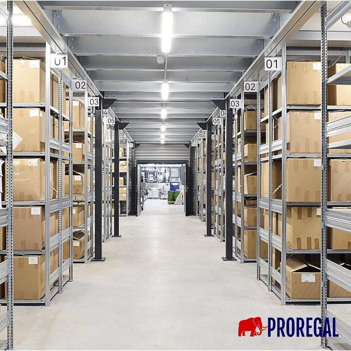 SCHWERLASTREGAL Silver Mamba 200x400x60cm 5 Ebenen je 150kg Fachlast Verzinkt - Silberfarben, Metall (400/200/60cm) - PROREGAL