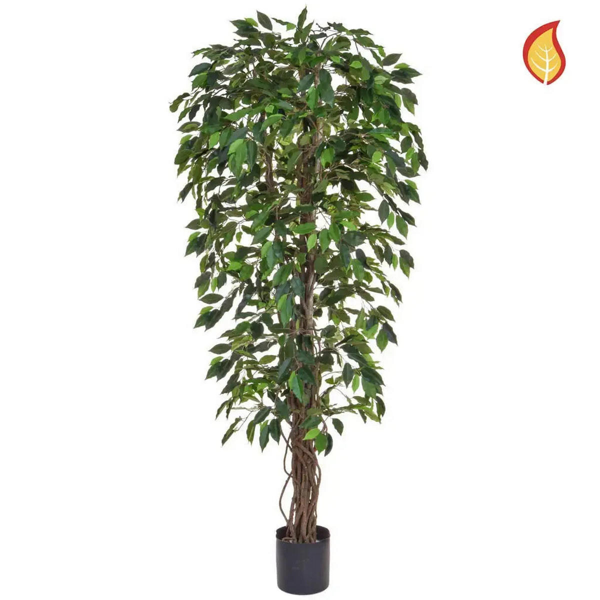 KUNSTBAUM Künstlicher Ficus - Annika 180 cm - Grün, Kunststoff (180cm) - aplanta