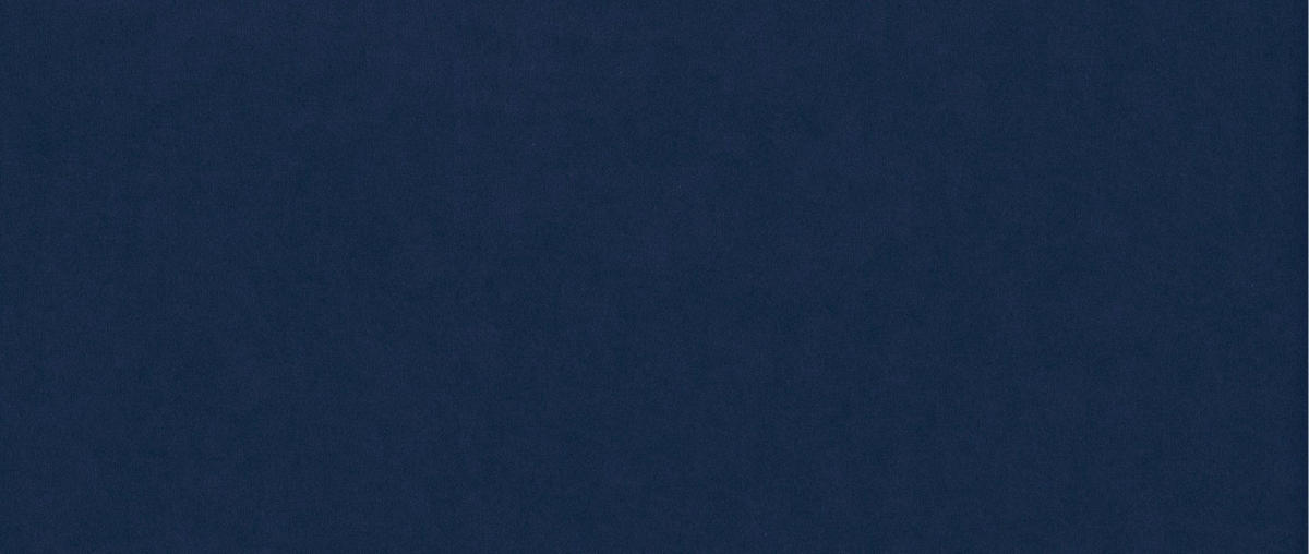 BOXBETT Olaf Premium 120x200 Dunkelblau - Dunkelgrau, Textil/Metall (120/200cm) - VLR BEDS