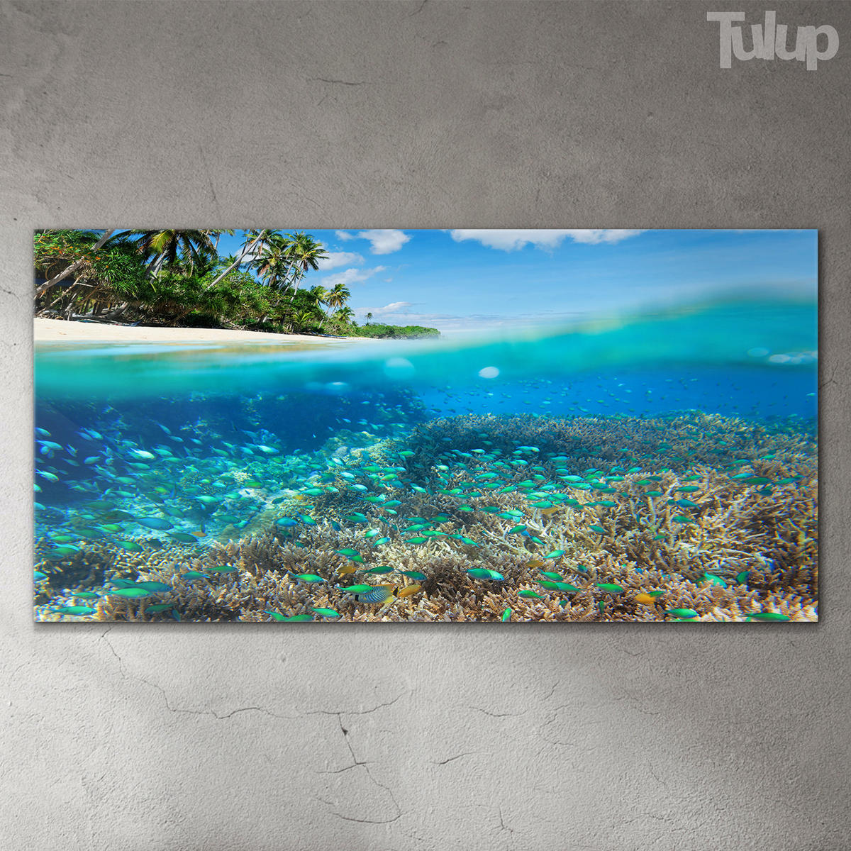 GLASBILD 120x60 cm Meereskorallenriff - Türkis, Glas (120/60cm) - TULUP
