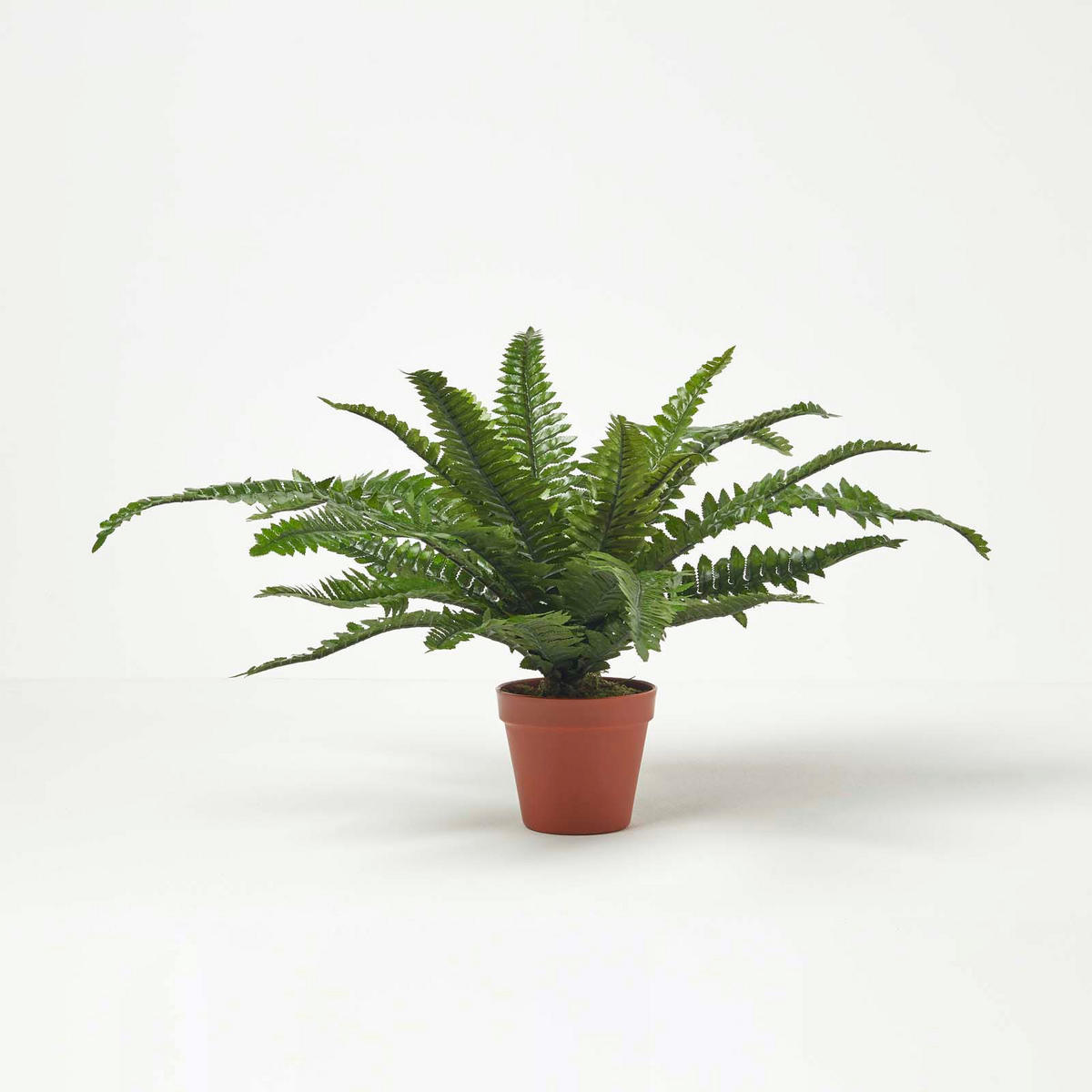 KUNSTPFLANZE Boston Farn, 45 cm - Grün, Kunststoff (45cm) - Homescapes