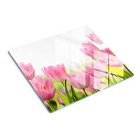 GLASPLATTE 60x52 cm Rosa Tulpen - Pink, Glas (60/0.4/52cm) - TULUP