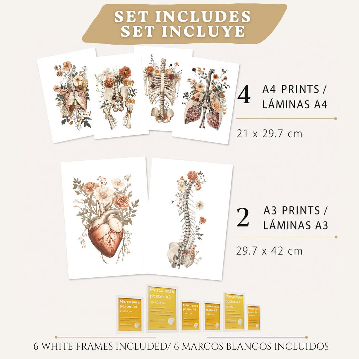 POSTER Set aus 6 Anatomie Mensch Florale Aquarell Drucke und mit Gehirn Lungen Skelett Nieren und Organen Botanische Größe Weißer Rahmen A3 & A4 - Weiß, Papier (21/29.7/3cm) - Nacnic