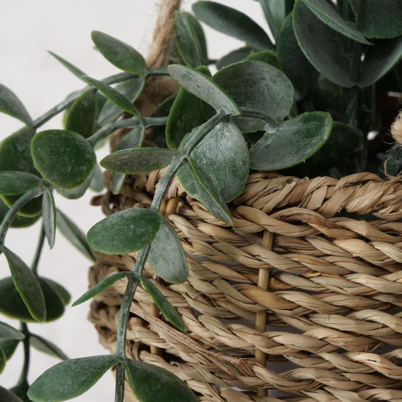 HÄNGENDE PFLANZE Eukalyptus 78 cm - Multicolor, Kunststoff (78cm) - Boltze Home