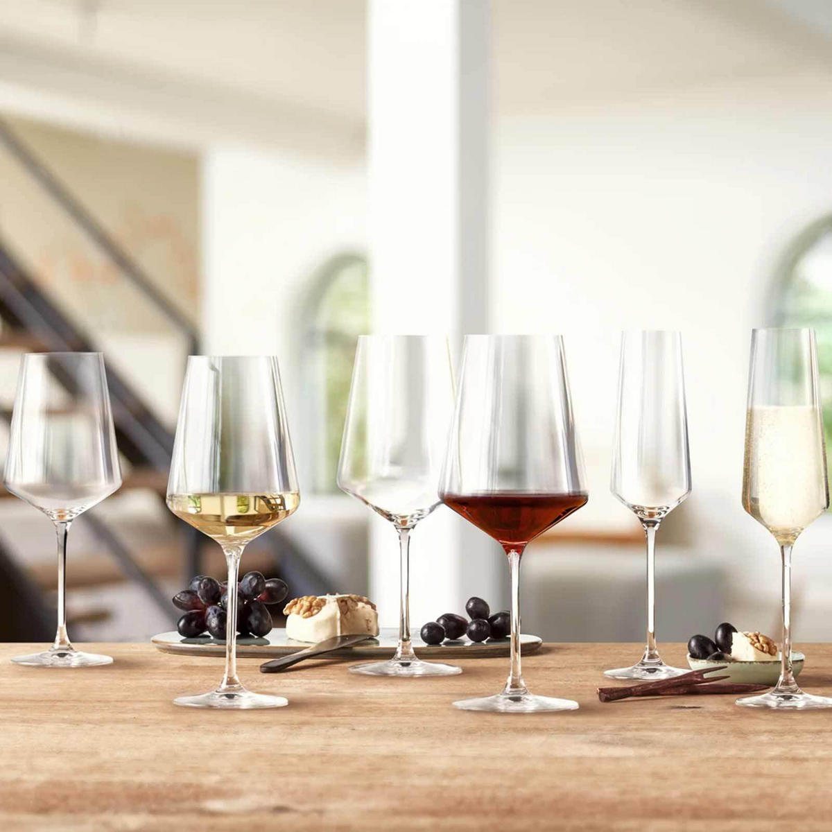SEKTGLÄSER GEEICHT Puccini Gastro-Edition transparent 0,1 l 6er Set - Transparent, Glas (0.1L) - Leonardo Living