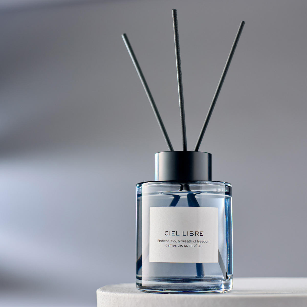 RAUMDUFT Pure Poetry Ciel Libre 150ml - Dunkelgrau, Glas (6/20/6cm) - Butlers