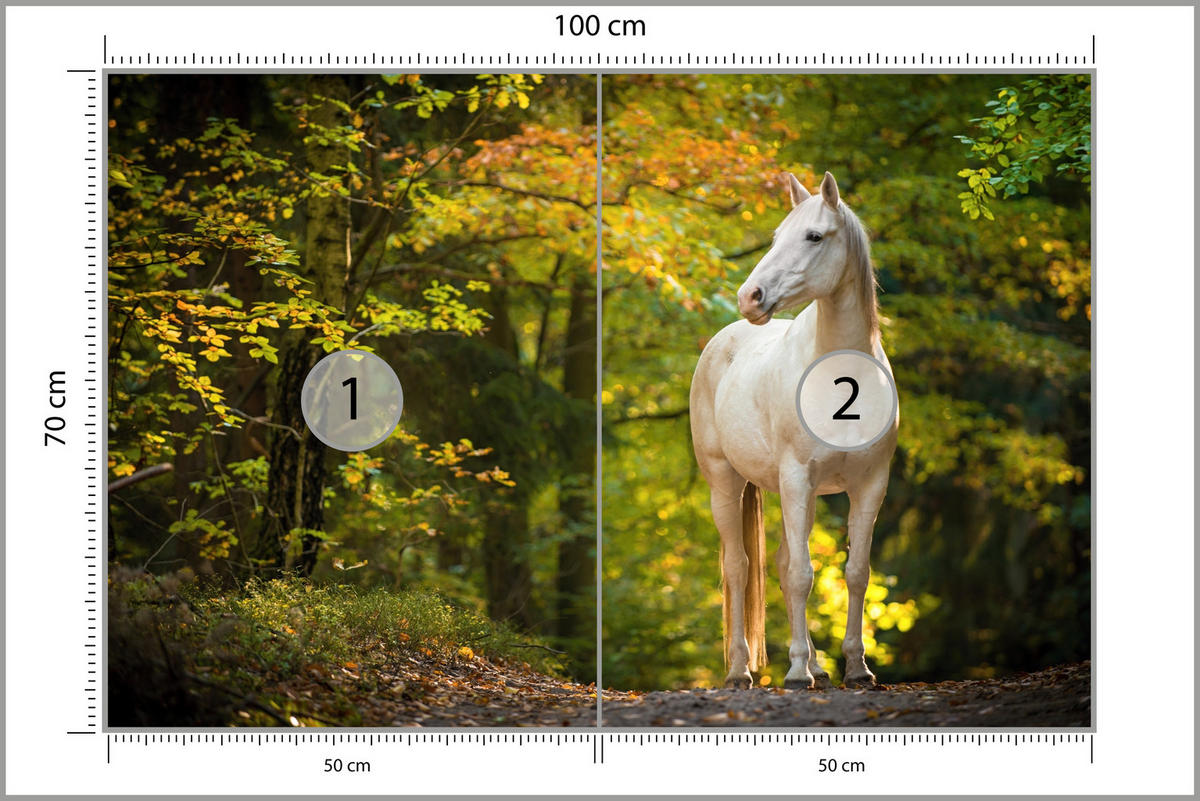 FOTOTAPETE für Schlafzimmer Weißes Pferd Wald Bäume Blätter 100x70 - Gelb/Beige, Papier (100/70cm) - Muralo