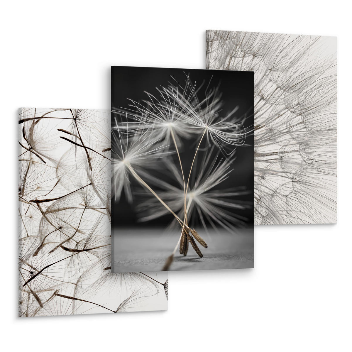 LEINWANDBILDER 3-er Set Pusteblumen 3D - Beige/Schwarz, Textil (90/40cm) - Muralo