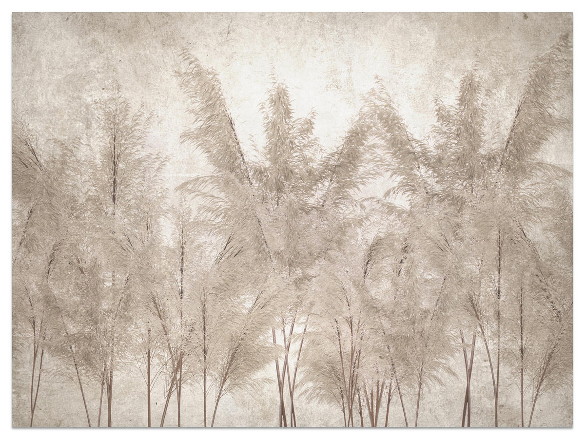 FOTOTAPETA Pre Spálňu Tráva Pampasová Vintage Béžová Boho 150 x 105 cm - hnedá/béžová, papier (150/105cm) - Muralo