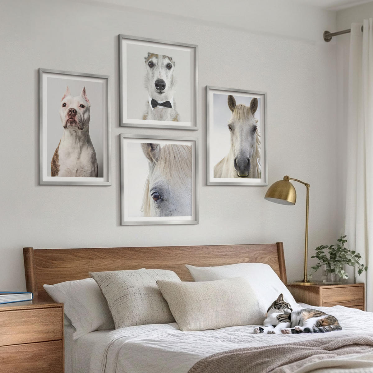 WANDBILDER 4er Set - 50x50 cm & 40x60 cm Silberner Rahmen - Elegante Porträts von Hunden und Pferden - Silberfarben, Kunststoff (50/50cm) - ArtPrintCave