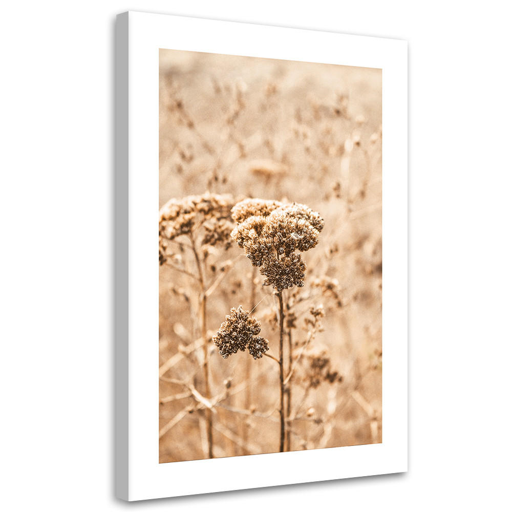 WANDBILD beige gräser - Beige, Textil (40/60cm) - Feeby