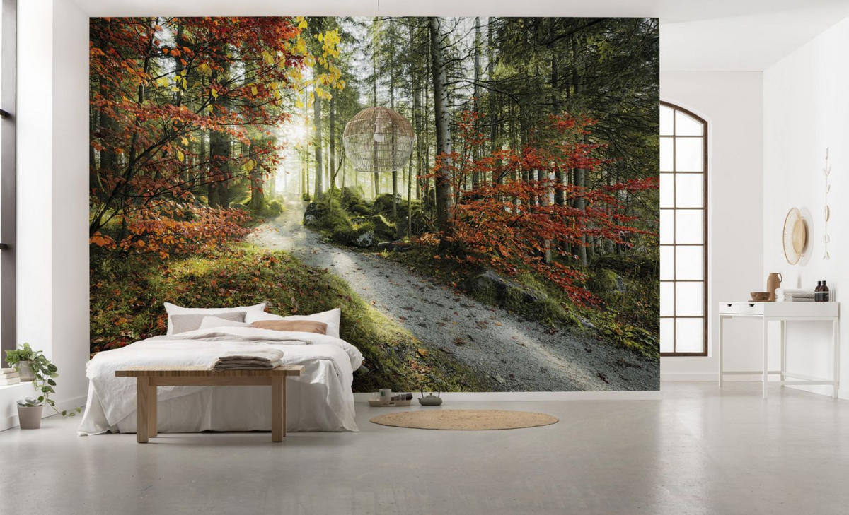 FOTOTAPETE Wald 450 x 280 cm - Grün, Papier (450/280cm) - Sanders & Sanders