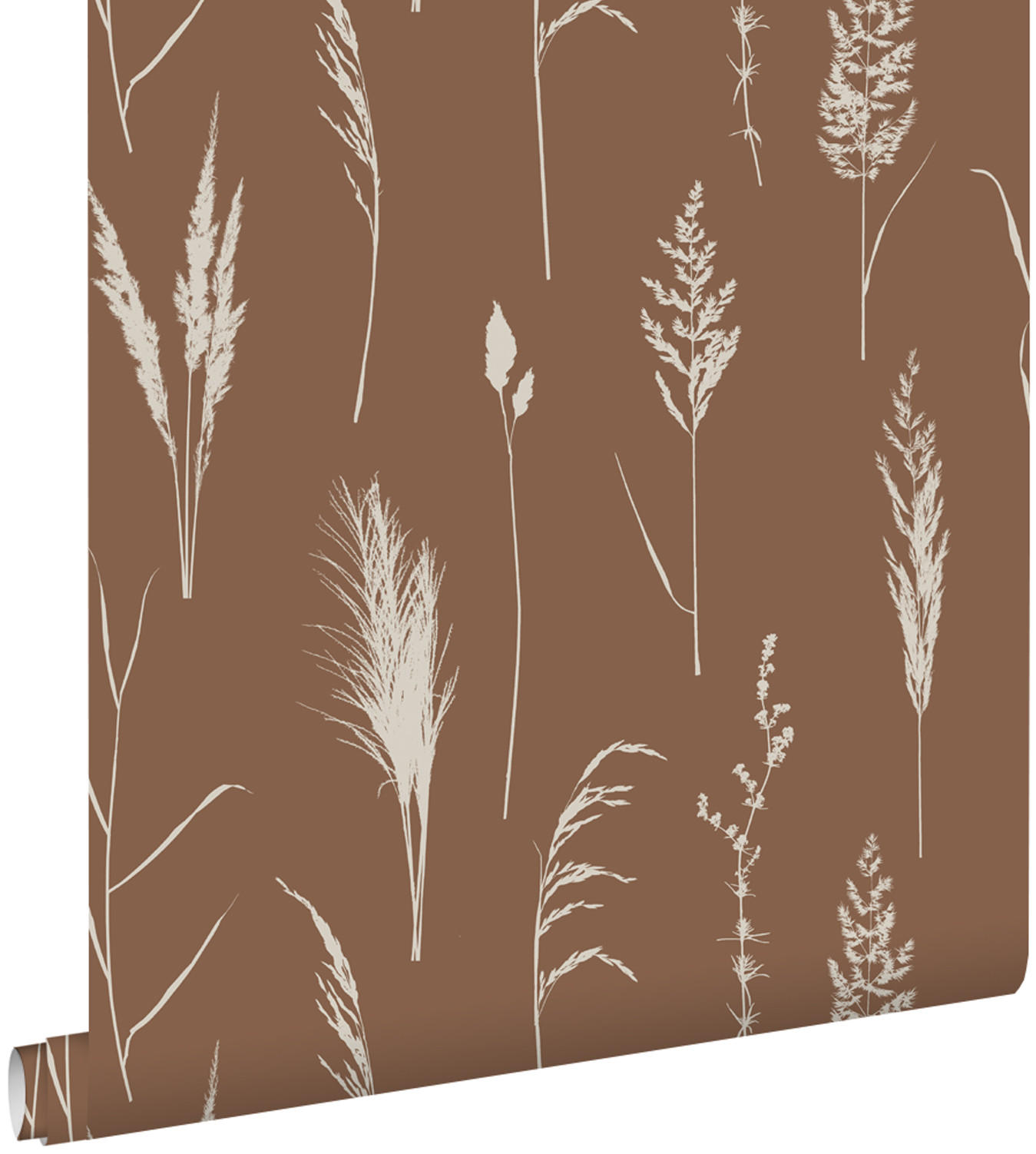 TAPETE Pampasgras 50 x 900 cm - Braun, Papier (50/900cm) - ESTAhome