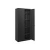 AKTENSCHRANK WINDHOEK - Schwarz, Metall (80/180/40cm) - Hansiro