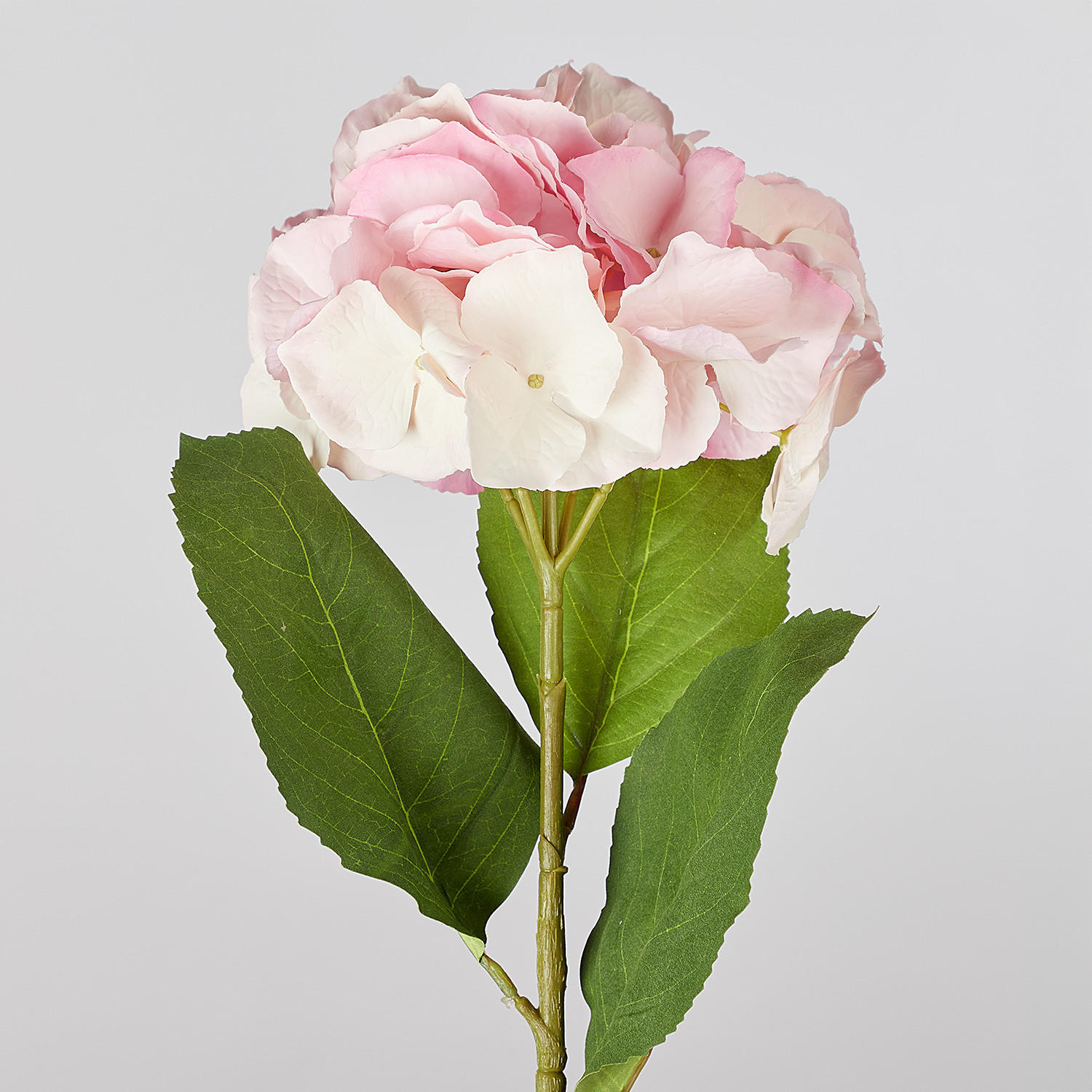 KUNSTBLUME (6er Set) Florista - Pink, Kunststoff (62cm) - Butlers