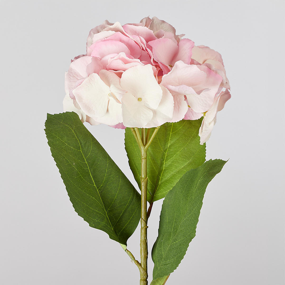 KUNSTBLUME (6er Set) Florista - Pink, Kunststoff (62cm) - Butlers