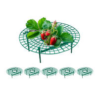 6XERDBEERREIFER - Grün, Kunststoff (30/10/30cm) - Relaxdays