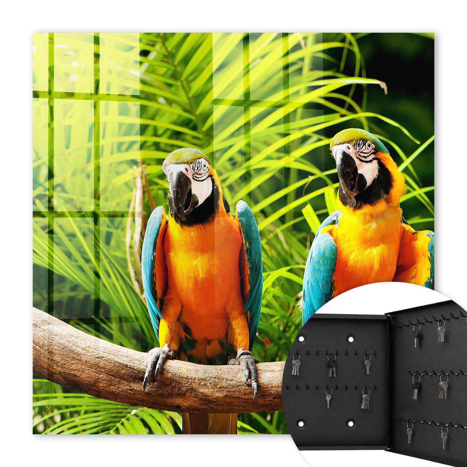 SCHLÜSSELBOX Schwarz 30x30 cm- Türöffnung nach rechts - Tropische Vögel - Grün, Metall (30/30/5cm) - TULUP