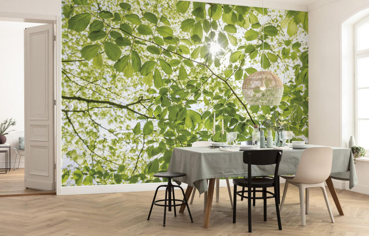 FOTOTAPETE Wald 450 x 280 cm - Grün, Papier (450/280cm) - Sanders & Sanders
