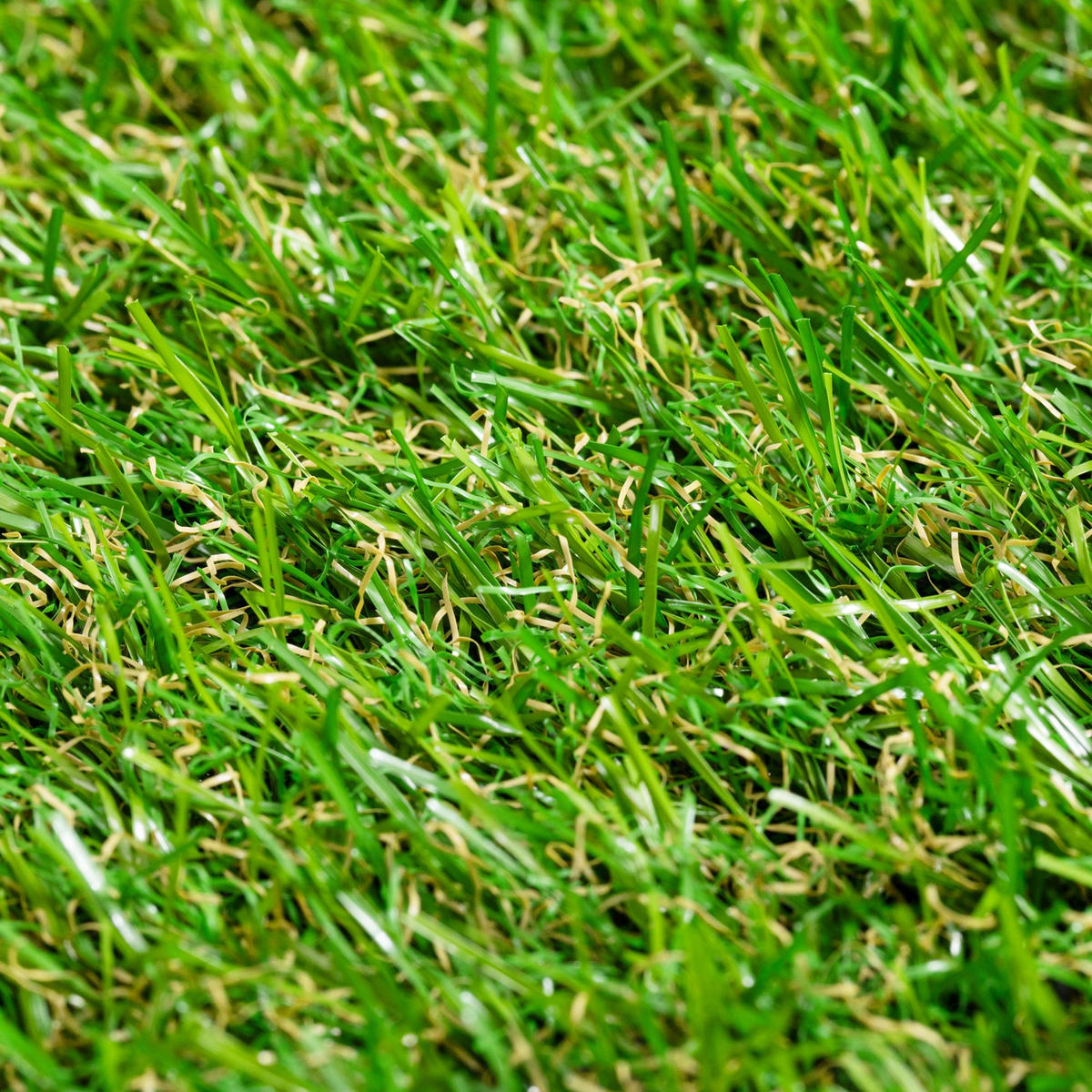 RASENTEPPICH Park Grün 200/700 cm - Grün, Kunststoff (200/700cm) - Steffensmeier