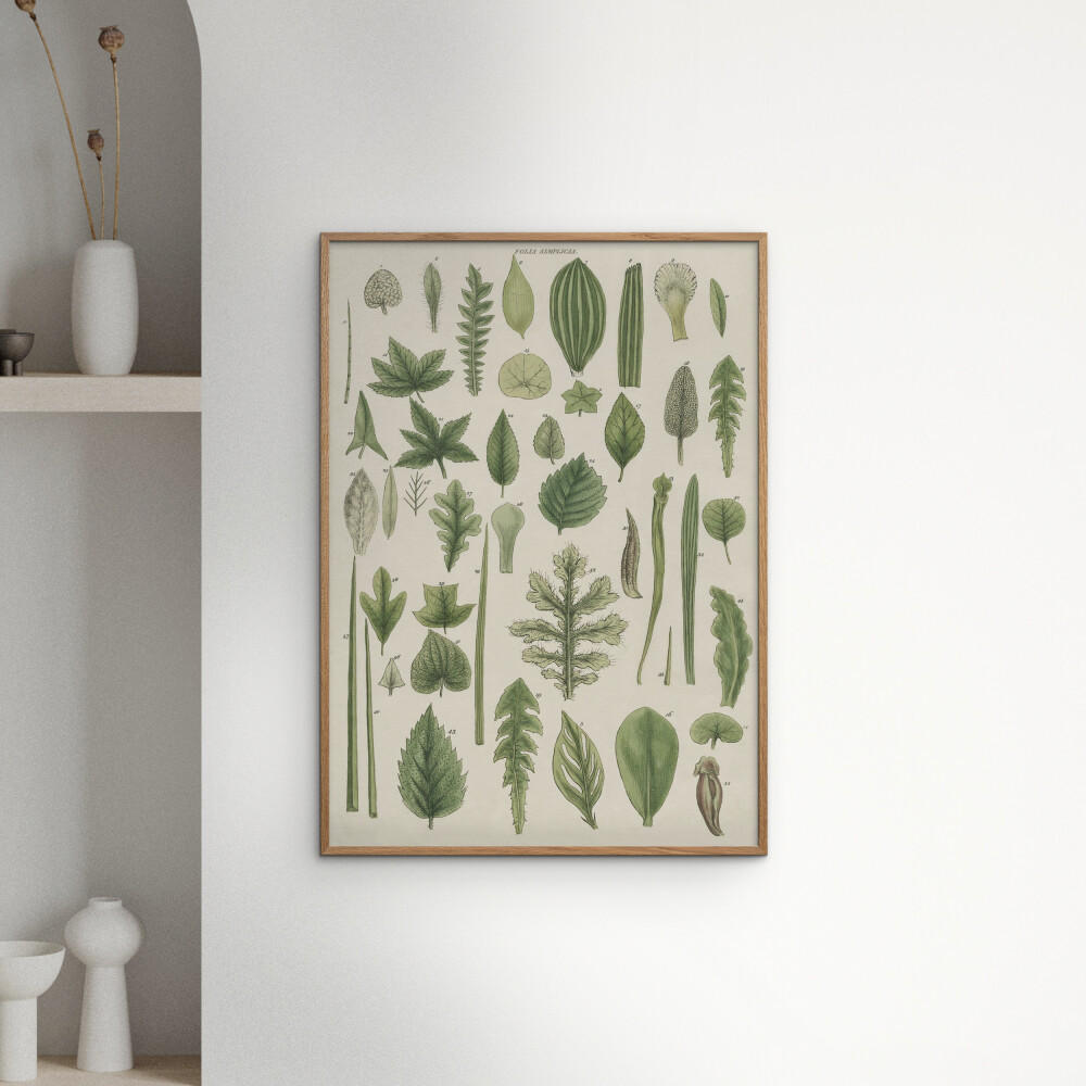 POSTER mit Rahmen Wild Apple - Assortment of Leaves II - Eichefarben/Grün, Holz/Papier (30/40cm) - Poster&Frame
