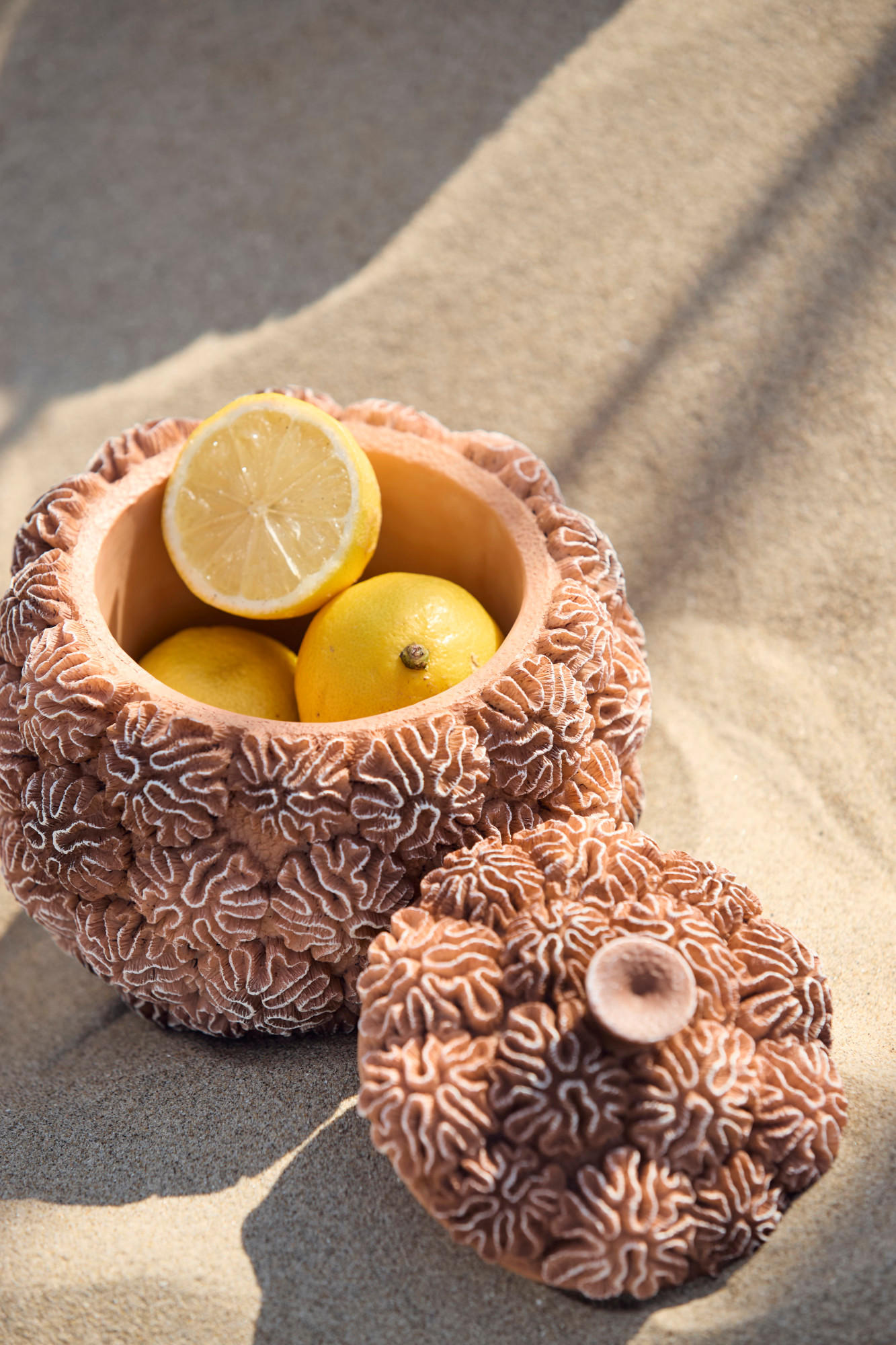 DEKO-DOSE Korallenbraun Ø17/16 cm - Braun, Kunststoff (17/16/17cm) - Light & Living