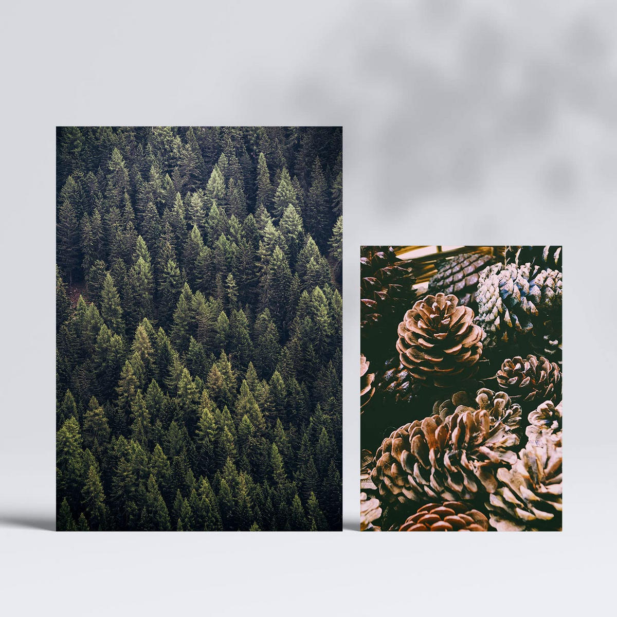 POSTER Set Mit 6 Usa Winter Wandbild A3 & A4 Rahmenlos - Klar, Papier (29/3cm) - Nacnic