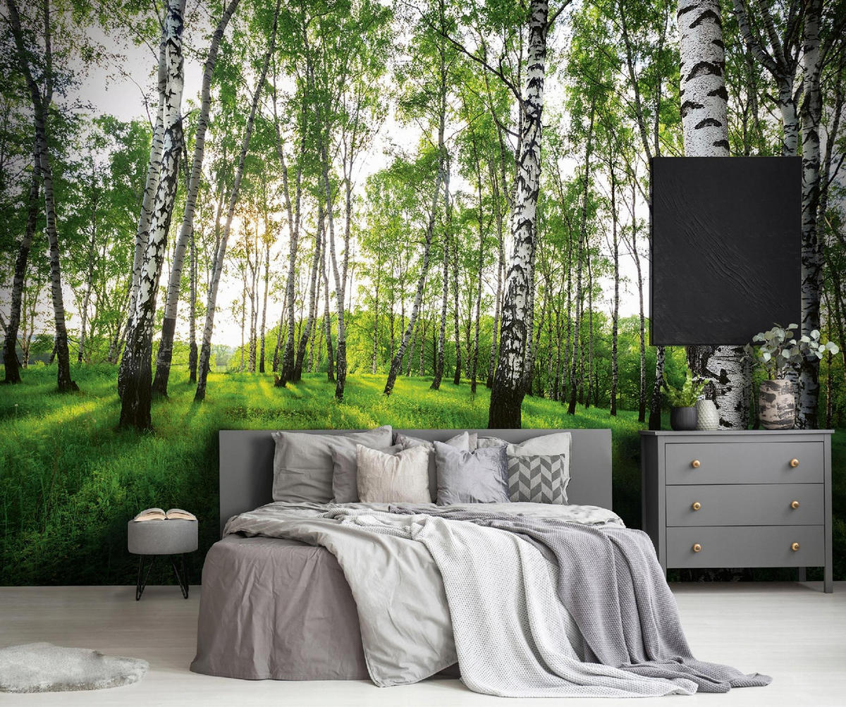 FOTOTAPETE Wald Baume Vliestapete Tapete 400x280 - Multicolor, Papier (400/280cm) - Wallarena