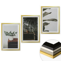 WANDBILDER 3er Set - 40x60 cm Goldrahmen - Rustikale Topfpflanzen - Goldfarben, Kunststoff (40/60cm) - ArtPrintCave