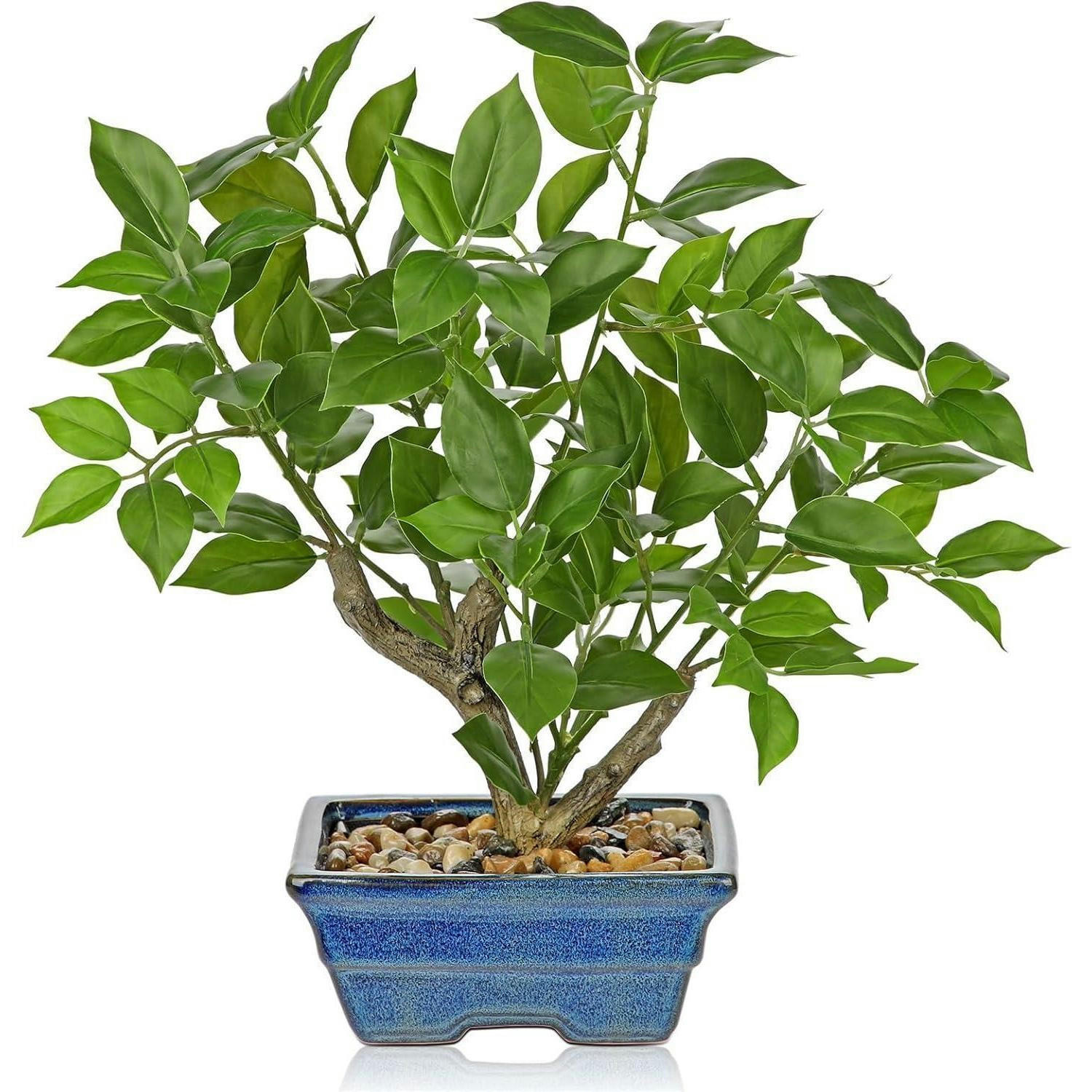 KUNSTPFLANZE Ficus 39 cm blau-grün - Blau, Kunststoff (35cm)
