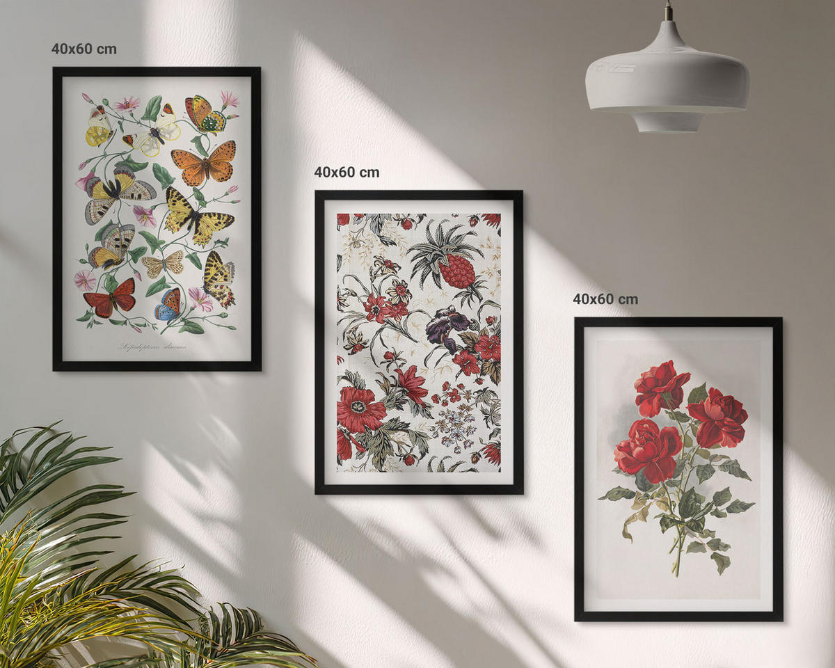 WANDBILDER 3er-Set - 40x60 cm Schwarzer Rahmen - Schmetterlinge, Blumen, rote Rosen - Schwarz, Kunststoff (40/60cm) - ArtPrintCave