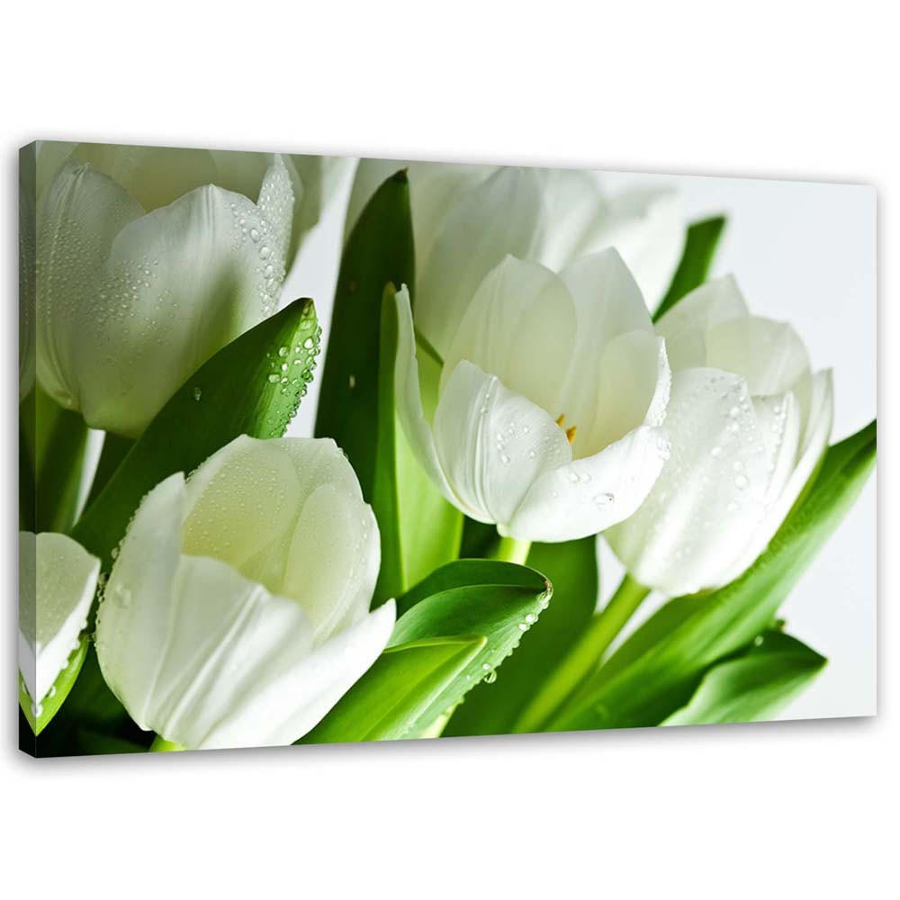 LEINWANDBILD Weiße Tulpen 100x70cm - Grün, Textil (100/70cm) - Feeby