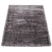 HOCHFLORTEPPICH 60/100 cm Touch 100 - Grau, Textil (60/100cm) - Paco Home