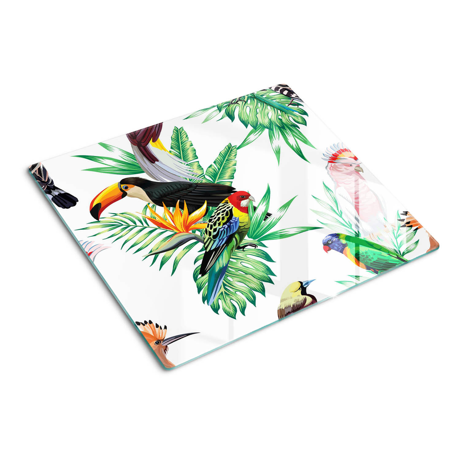 GLASPLATTE 60x52 cm Tropische Vögel - Schwarz/Braun, Glas (60/0.4/52cm) - TULUP