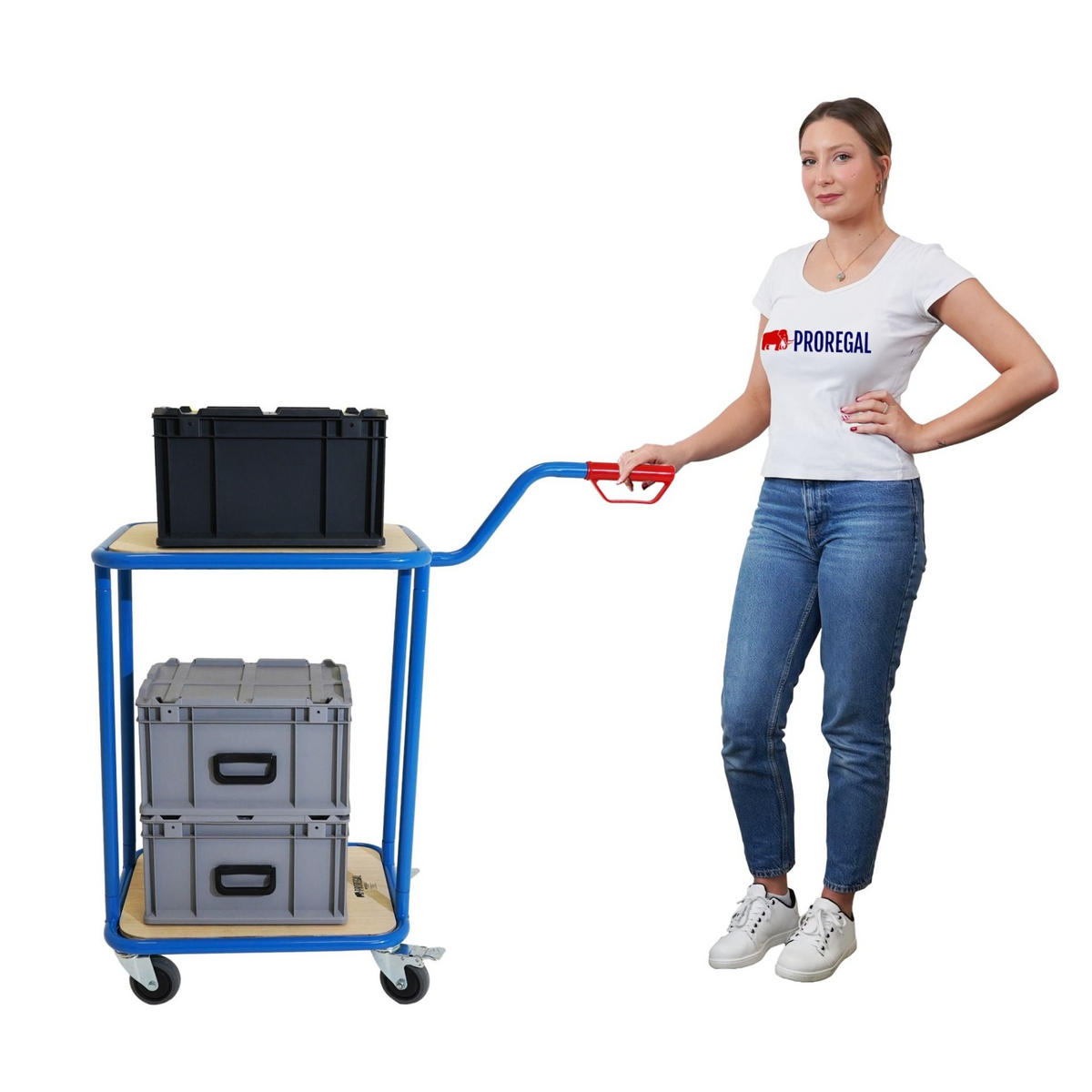 GRIFFROLLER 2 Ladeflächen 102x50x60cm Traglast 250kg Lichtblau - Blau, Metall (60/50/102cm) - PROREGAL