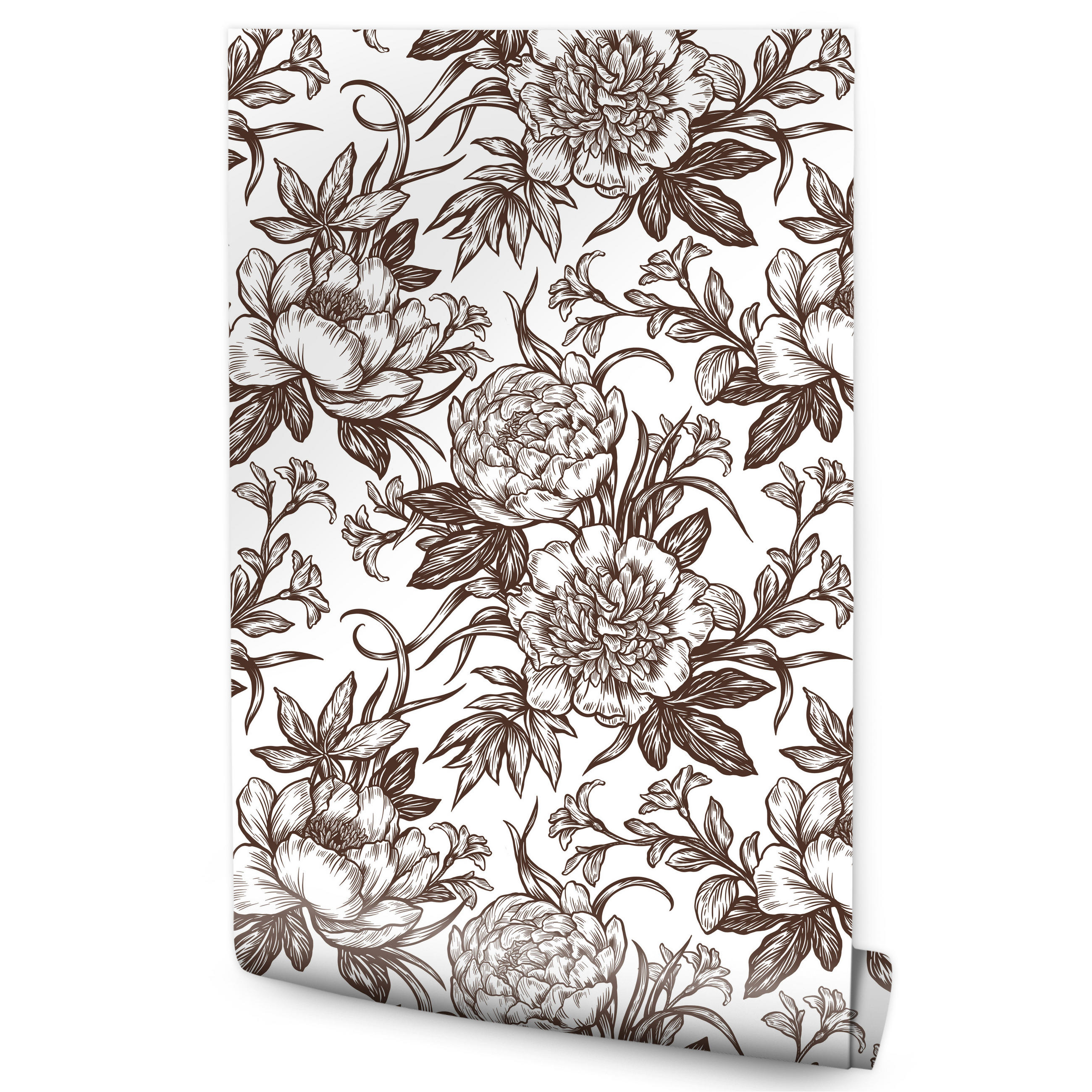 VLIESTAPETE Vintage-Pfingstrosen – Braun, Weiß – 50x1000 cm - Braun/Weiß, Papier (50/1000cm) - Muralo