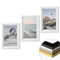 WANDBILDER 3er-Set - 20x30 cm Weißer Rahmen - Pferde, Strand, Leuchtturm, Wellen - Weiß, Kunststoff (20/30cm) - ArtPrintCave