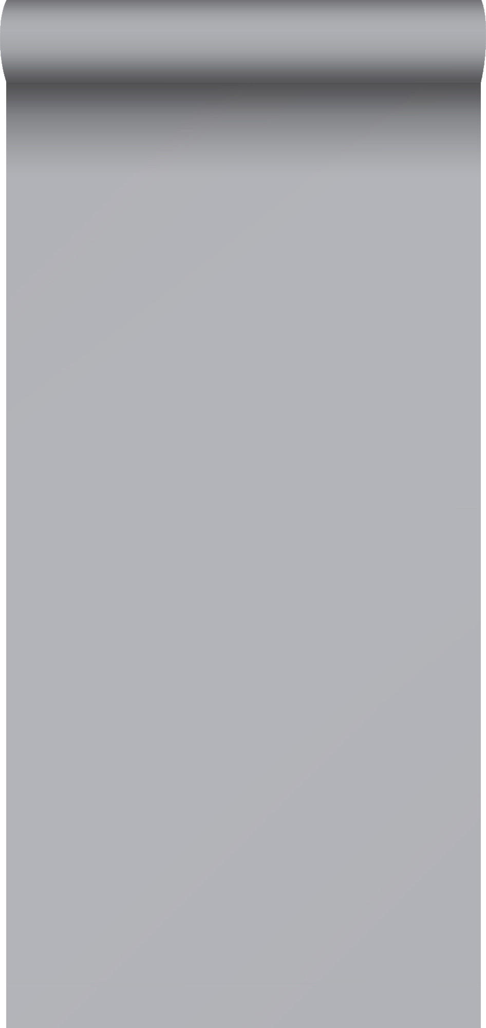 TAPETE Uni 53 cm x 10.05 m - Grau, Papier (53/1000cm) - Sanders & Sanders