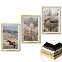 WANDBILDER 3er Set - 40x60 cm Goldrahmen - Pferde, Landschaft, Gras, Bach - Goldfarben, Kunststoff (40/60cm) - ArtPrintCave