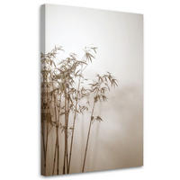 LEINWANDBILD Pampasgraspflanzen in Beige 80x120cm - Beige, Textil (80/120cm) - Feeby