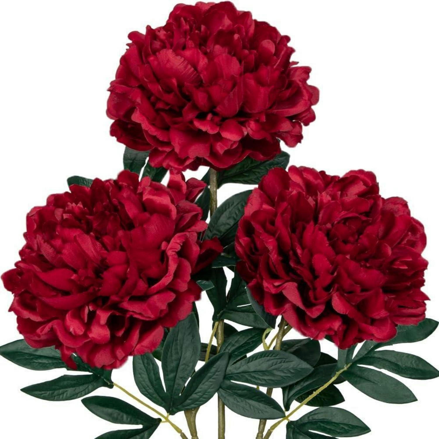 XXXLutz Kunstblumen Bordeaux 38 cm