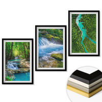 WANDBILDER 3er-Set - 40x60 cm Schwarzer Rahmen - Grüne Wälder, kristallklares Wasser - Schwarz, Kunststoff (40/60cm) - ArtPrintCave