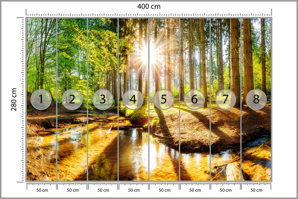 FOTOTAPETE für Wohnzimmer Pflanzen Natur Gras Sonniger Wald Bäume 400x280 - Multicolor, Papier (400/280cm) - Muralo