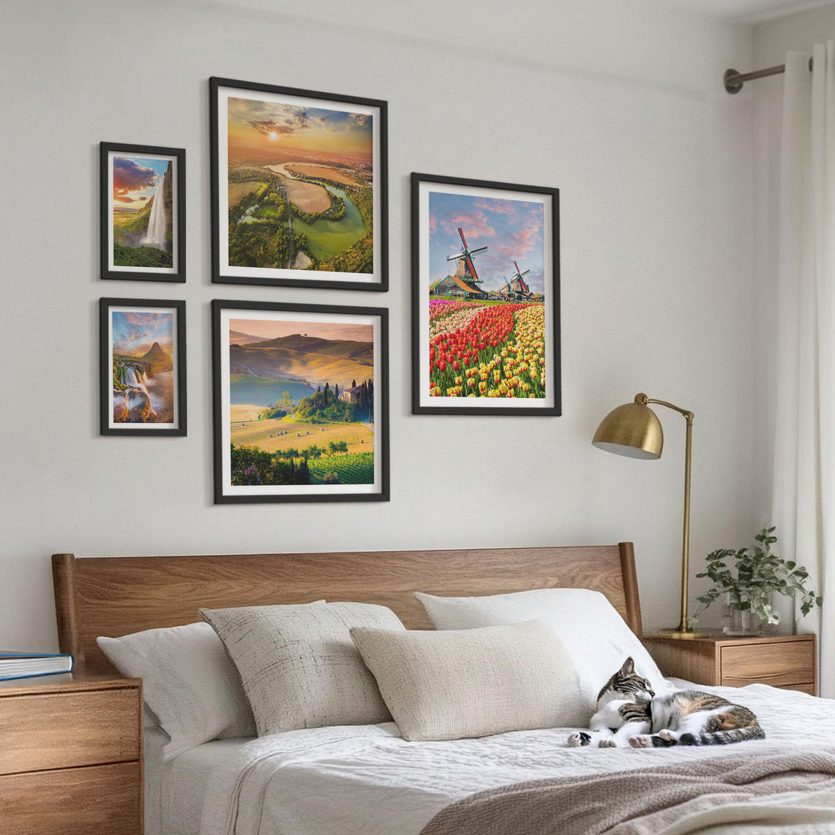 BILDER SET 5er Set - 50x50 cm & 20x30 cm & 40x60 cm Schwarzer Rahmen - Whisky, Wein, Champagner, Kaffee, Alkohol - Schwarz, Kunststoff (40/60cm) - TULUP