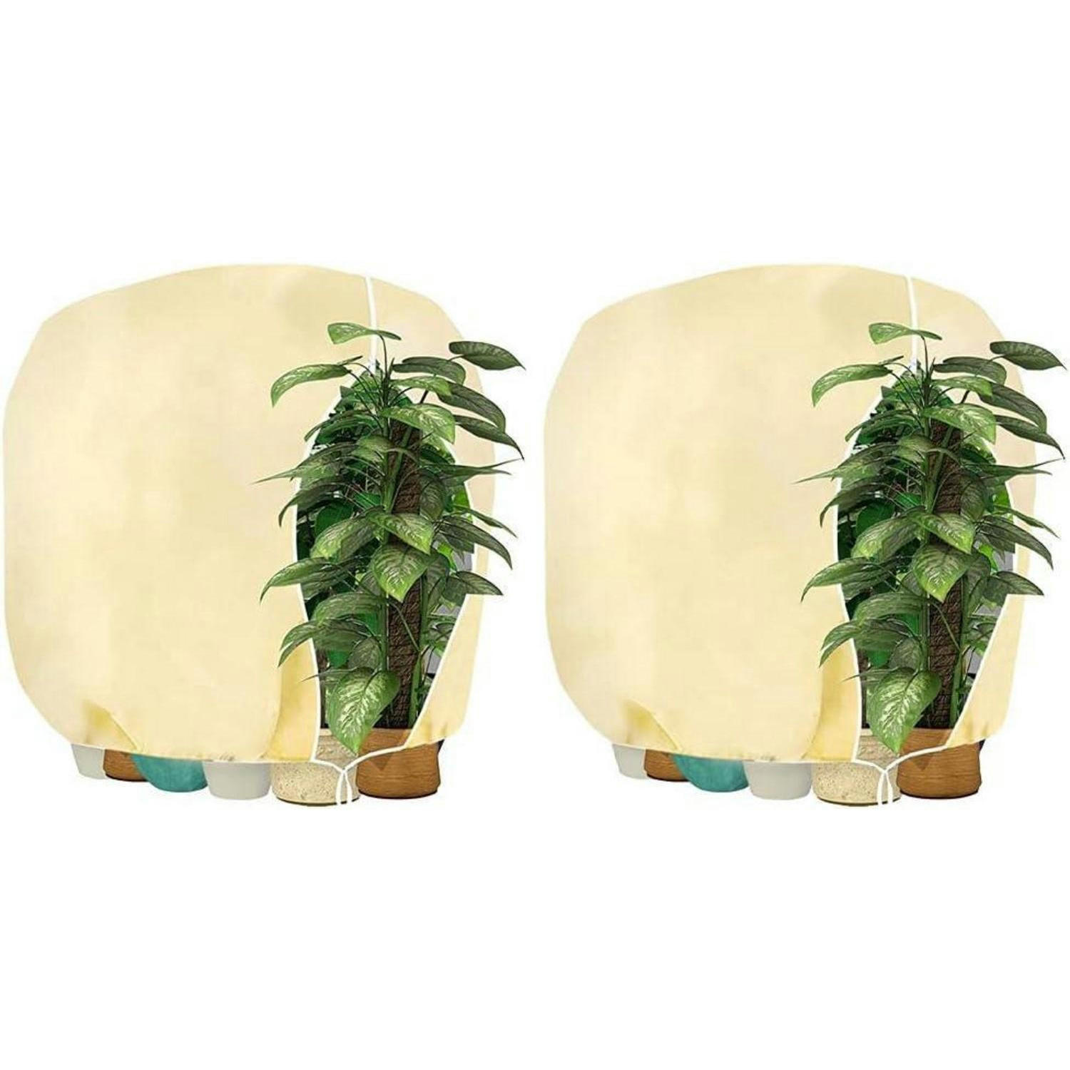XXXLutz Pflanzenschutzhaube Beige 200x1x240 cm
