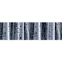 SELBSTKLEBENDE Tapetenbordüre Birkenstämme 500 x 14 cm - Schwarz, Papier (500/14cm) - Sanders & Sanders
